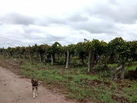 Terreno en Venta en Chapanay, USD 200.000