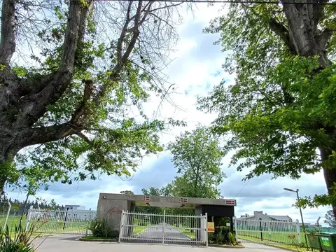 Terreno en Venta en Countries y Barrios Cerrados en Campana, USD 38.000