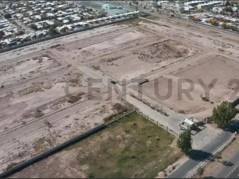 Propiedad 230025