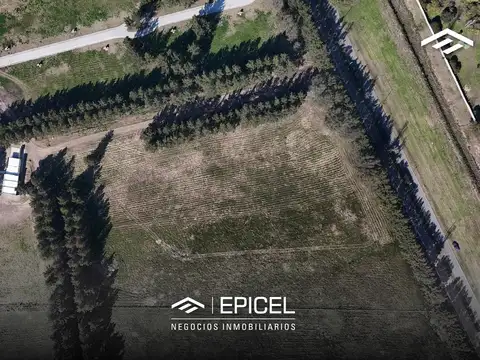 Cnel Vicente Dupuy 6000