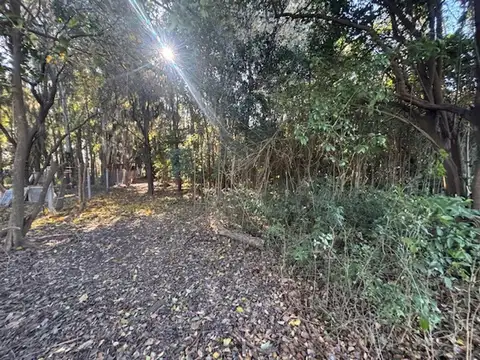 Terreno en Venta 37  mts Frente