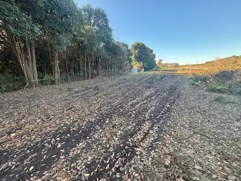 Hermoso lote de 3.750 m2 en zona rural