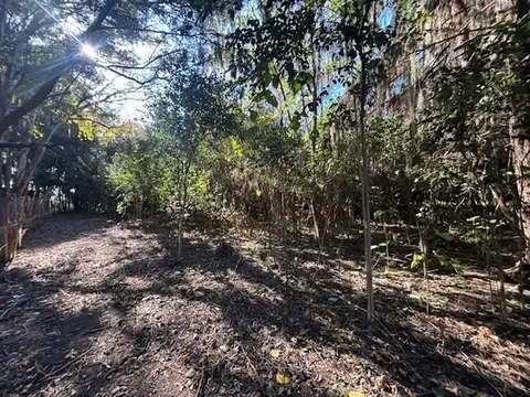 Terreno en Venta 100  mts Fondo