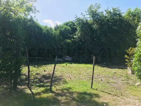 Sarmiento 4500, Piso 0