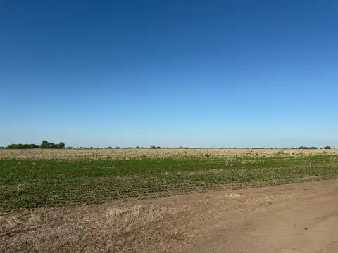 Campo en Venta Agricola