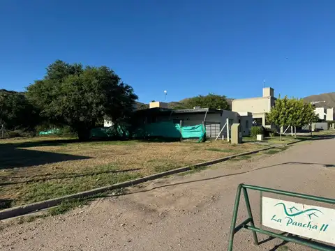 Lorenzo Vargas 100