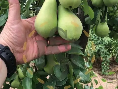 Terreno en Venta de 907812,0 m2