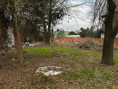 San Ignacio al 700