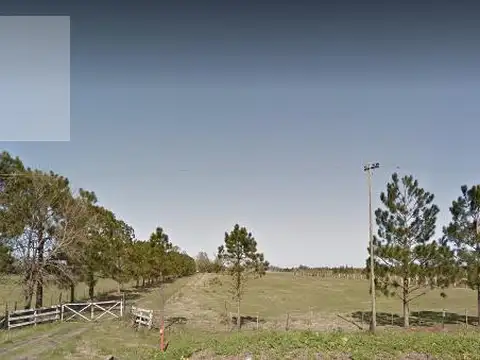 Terreno Campo  15 hectaresa VENTA en  VILLARS las Heras ruta 6 ideal loteo con laguna propia