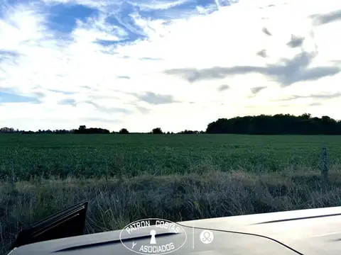 Campo en venta en Villa Ruiz 15 hectareas