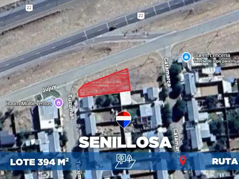 VENTA LOTE de 394 m2 sobre Ruta 22 - Senillosa