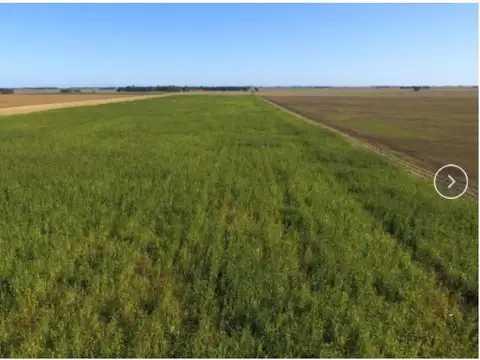 VENTA CAMPO 339HA EN TRES ARROYOS, BUENOS AIRES