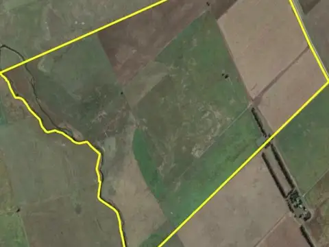 RUTA 3 100