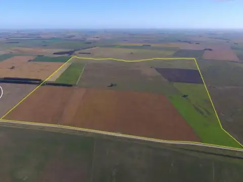 VENTA CAMPO 339HA EN TRES ARROYOS, BUENOS AIRES