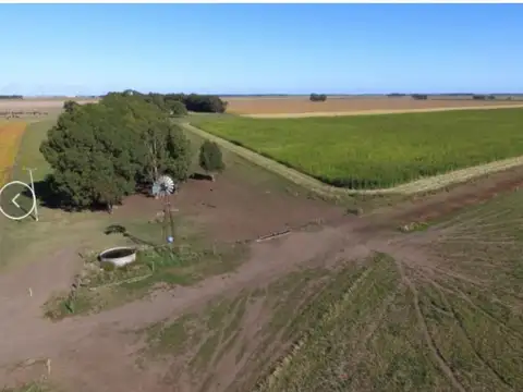 VENTA CAMPO 339HA EN TRES ARROYOS, BUENOS AIRES
