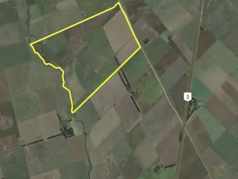 VENTA CAMPO 339HA EN TRES ARROYOS, BUENOS AIRES