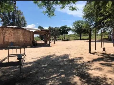 Campo Pinto La Promesa