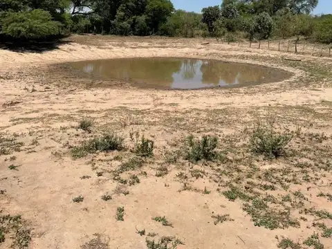 VENTA CAMPO - LA PROMESA