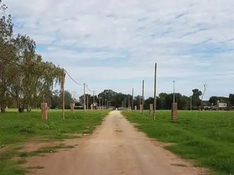 Mendoza 1000