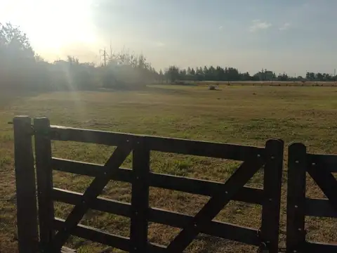 Avenida Campaña del Desierto 2000