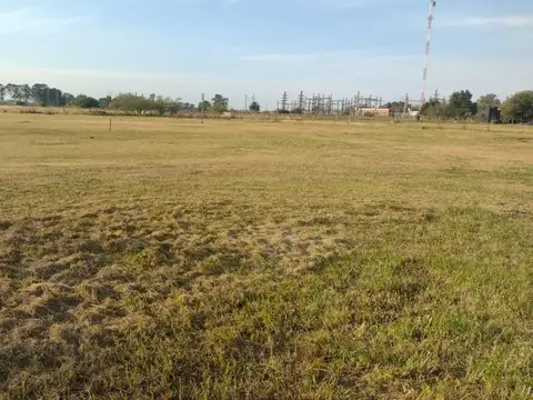 Avenida Campaña del Desierto 2000