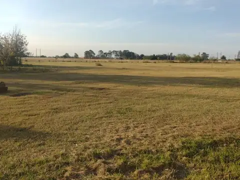 Lote de 10.000 metros en Chascomús