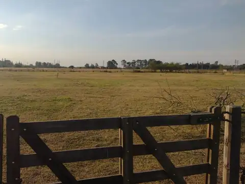 Terreno en Venta de 10000,0 m2