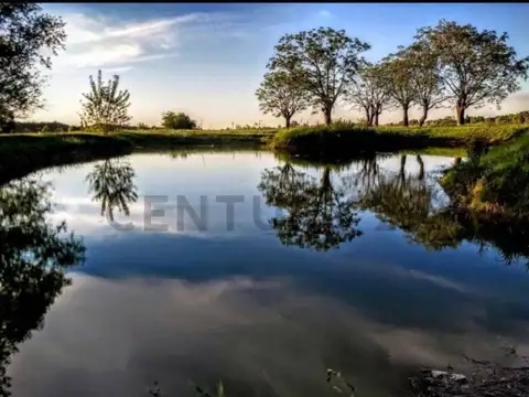 EL CAMPO- FINCAS EXCLUSIVAS CARDALES 400, Piso 0