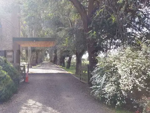 EL CAMPO- FINCAS EXCLUSIVAS CARDALES , Piso 0