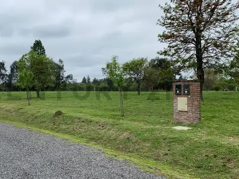 Terreno en Venta en Centro (Campana), USD 37.000