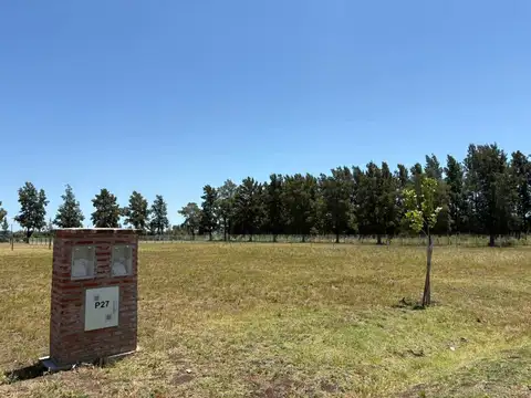 Terreno en Venta 20  mts Frente