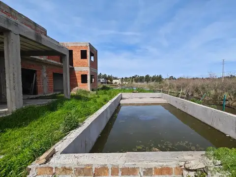 Tulipan 3900