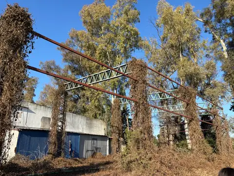 Estructura De Galpón En Alquiler Av. 12 De Octubre