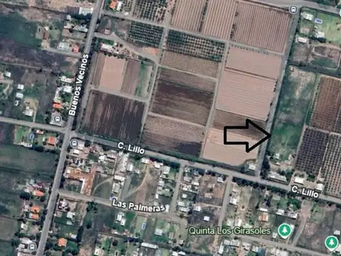Calle Lillo 9300