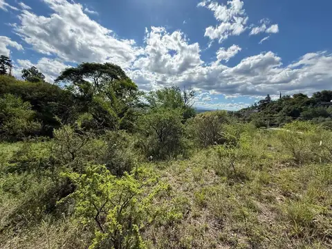 Juan Bautista Bustos