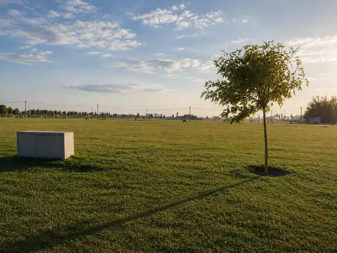Terreno en Venta 48  mts Fondo