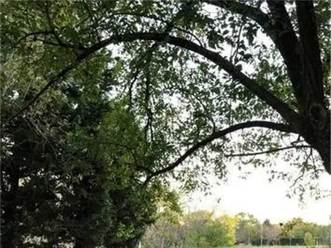 Terreno en Venta en Del Viso, USD 45.000