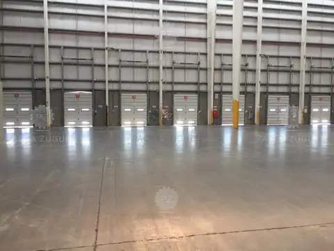 Mariano ferreira 100