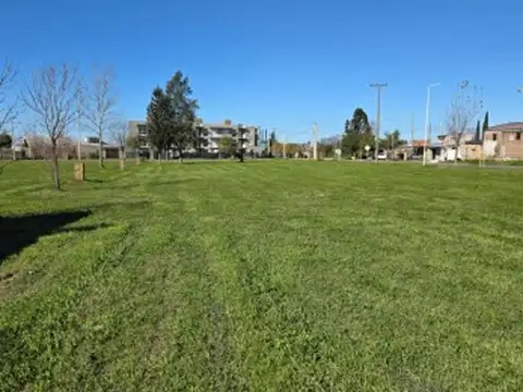Esquina Ruta Pcial n° 21 y Lisandro de la Torre -General Lagos