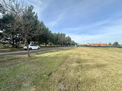 Terreno en Venta 50  mts Fondo