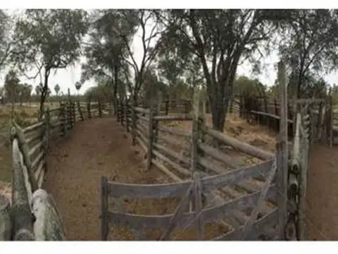 3124 has Ganaderas A explotar con todos los permisos para Inversor