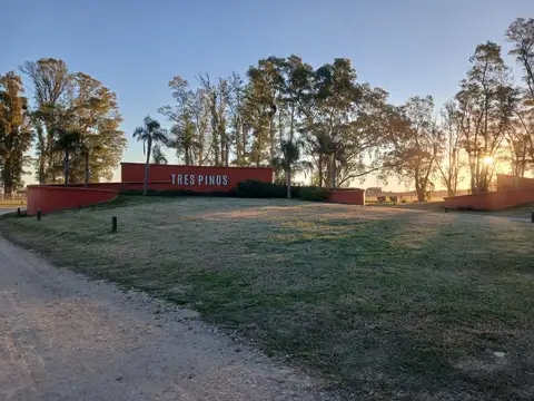 VENTA DE LOTE, COMPLEJO TRES PINOS, BARRIO NORTE DE 1.000 m2