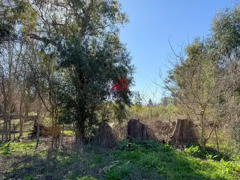 LOS PINOS - RUTA 8 KM 72