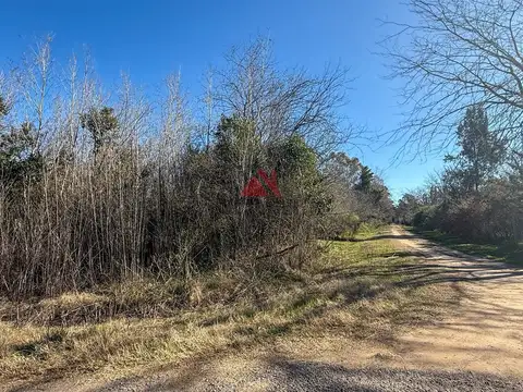 LOS PINOS - RUTA 8 KM 72