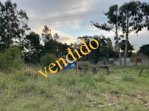 Calihue