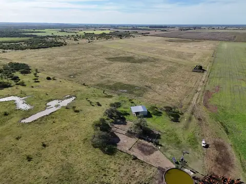 Campo en Venta Mixto