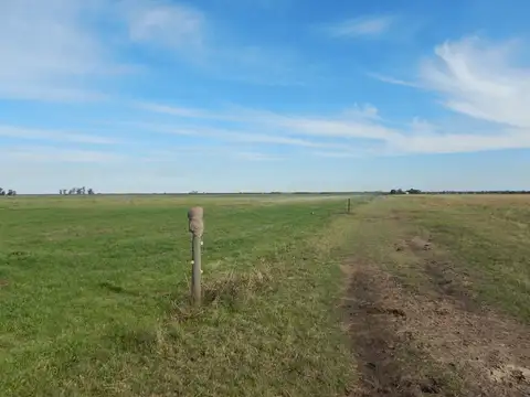 Campo en Venta Mixto