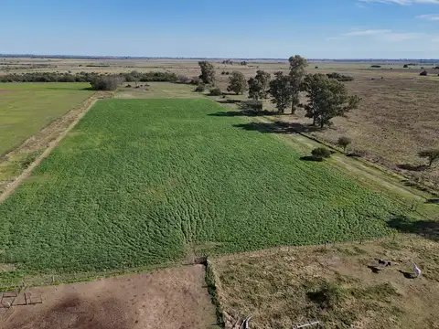 Campo en Venta con Alambrado