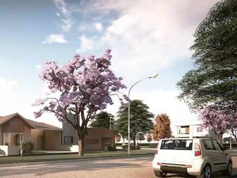 Lote Tierra de Autores