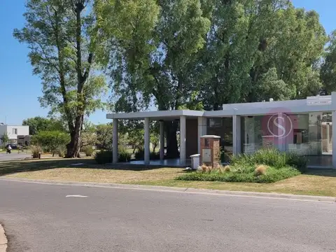 Santa Elisa 100